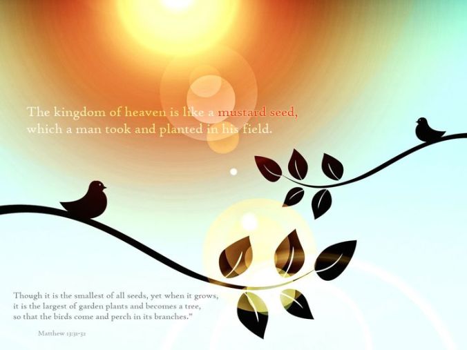 Understanding God’s Unchanging Gifts | The seed